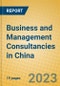 Business and Management Consultancies in China - Product Thumbnail Image