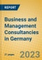 Business and Management Consultancies in Germany - Product Image