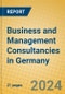 Business and Management Consultancies in Germany - Product Image