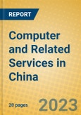 Computer and Related Services in China- Product Image