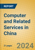 Computer and Related Services in China- Product Image