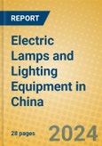 Electric Lamps and Lighting Equipment in China- Product Image