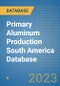 Primary Aluminum Production South America Database - Product Thumbnail Image