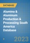Alumina & Aluminum Production & Processing South America Database - Product Thumbnail Image