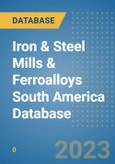 Iron & Steel Mills & Ferroalloys South America Database- Product Image