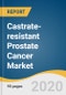 Castrate-resistant Prostate Cancer Market Size, Share & Trends Analysis Report by Therapy (Chemotherapy, Hormonal Therapy, Immunotherapy, Radiotherapy), by Region, and Segment Forecasts, 2020-2027 - Product Thumbnail Image