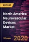 North America Neurovascular Devices Market Forecast to 2027 - COVID-19 Impact and Regional Analysis by Product; Application; End User and Country - Product Thumbnail Image