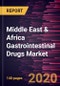 Middle East & Africa Gastrointestinal Drugs Market Forecast to 2027 - COVID-19 Impact and Regional Analysis by Drug Class; Route of Administration; Application; and Distribution Channel, and Country - Product Thumbnail Image