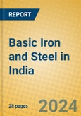 Basic Iron and Steel in India: ISIC 271- Product Image