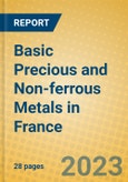 Basic Precious and Non-ferrous Metals in France- Product Image