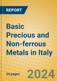 Basic Precious and Non-ferrous Metals in Italy- Product Image