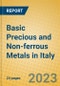 Basic Precious and Non-ferrous Metals in Italy - Product Image