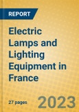 Electric Lamps and Lighting Equipment in France- Product Image