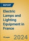 Electric Lamps and Lighting Equipment in France - Product Image