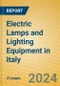 Electric Lamps and Lighting Equipment in Italy - Product Image