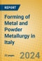 Forming of Metal and Powder Metallurgy in Italy - Product Image