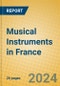 Musical Instruments in France: ISIC 3692 - Product Image