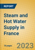 Steam and Hot Water Supply in France- Product Image