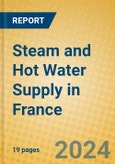 Steam and Hot Water Supply in France- Product Image