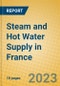Steam and Hot Water Supply in France - Product Image