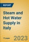 Steam and Hot Water Supply in Italy - Product Image