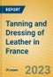 Tanning and Dressing of Leather in France - Product Image