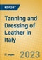Tanning and Dressing of Leather in Italy - Product Image