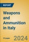 Weapons and Ammunition in Italy - Product Image