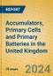 Accumulators, Primary Cells and Primary Batteries in the United Kingdom: ISIC 314 - Product Image