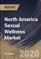 North America Sexual Wellness Market By Product, By Distribution Channel, By End User, By Country, Industry Analysis and Forecast, 2020 - 2026 - Product Thumbnail Image