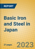 Basic Iron and Steel in Japan- Product Image