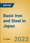 Basic Iron and Steel in Japan - Product Thumbnail Image