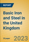 Basic Iron and Steel in the United Kingdom: ISIC 271- Product Image