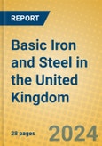 Basic Iron and Steel in the United Kingdom: ISIC 271- Product Image