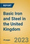 Basic Iron and Steel in the United Kingdom: ISIC 271 - Product Thumbnail Image