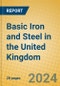 Basic Iron and Steel in the United Kingdom: ISIC 271 - Product Thumbnail Image