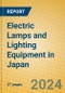 Electric Lamps and Lighting Equipment in Japan - Product Image