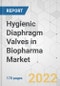 Hygienic Diaphragm Valves in Biopharma Market - Global Industry Analysis, Size, Share, Growth, Trends, and Forecast, 2022-2031 - Product Image