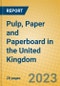 Pulp, Paper and Paperboard in the United Kingdom: ISIC 2101 - Product Image