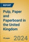 Pulp, Paper and Paperboard in the United Kingdom: ISIC 2101 - Product Image