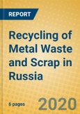 Recycling of Metal Waste and Scrap in Russia- Product Image