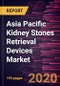 Asia Pacific Kidney Stones Retrieval Devices Market Forecast to 2027 - COVID-19 Impact and Regional Analysis by Type; Treatment; End User; and Country - Product Thumbnail Image