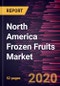 North America Frozen Fruits Market Forecast to 2027 - COVID-19 Impact and Regional Analysis by Product Type, Application, and Technique [Freeze Drying and Individual Quick Freezing ] - Product Thumbnail Image