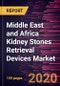 Middle East and Africa Kidney Stones Retrieval Devices Market Forecast to 2027 - COVID-19 Impact and Regional Analysis by Type; Treatment; End User; and Country - Product Thumbnail Image