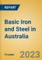 Basic Iron and Steel in Australia - Product Thumbnail Image