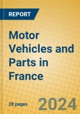 Motor Vehicles and Parts in France- Product Image