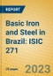 Basic Iron and Steel in Brazil: ISIC 271 - Product Image