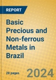 Basic Precious and Non-ferrous Metals in Brazil- Product Image