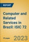 Computer and Related Services in Brazil: ISIC 72 - Product Image