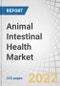 Animal Intestinal Health Market by Additive (Probiotics, Prebiotics, Phytogenics, Immunostimulants), Livestock (Poultry, Swine, Ruminant, Aquaculture), Form (Dry, Liquid), Source, Region - Global Forecast to 2027 - Product Image